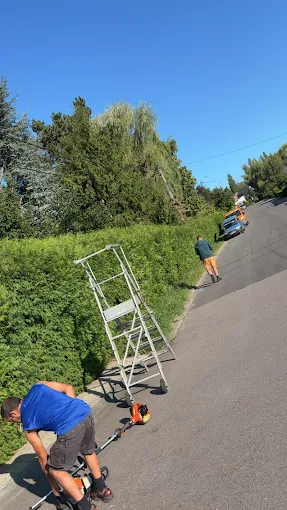 Réalisation Concept Paysagiste 7